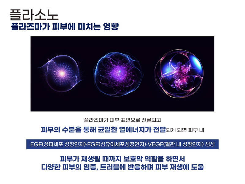 PLASONO_ppt 2024.3.25_10.jpg