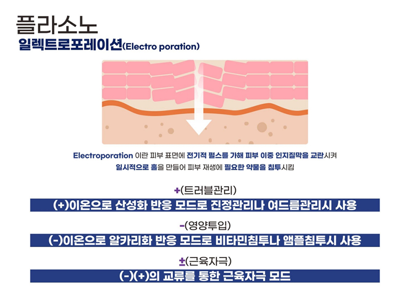 PLASONO_ppt 2024.3.25_19.jpg